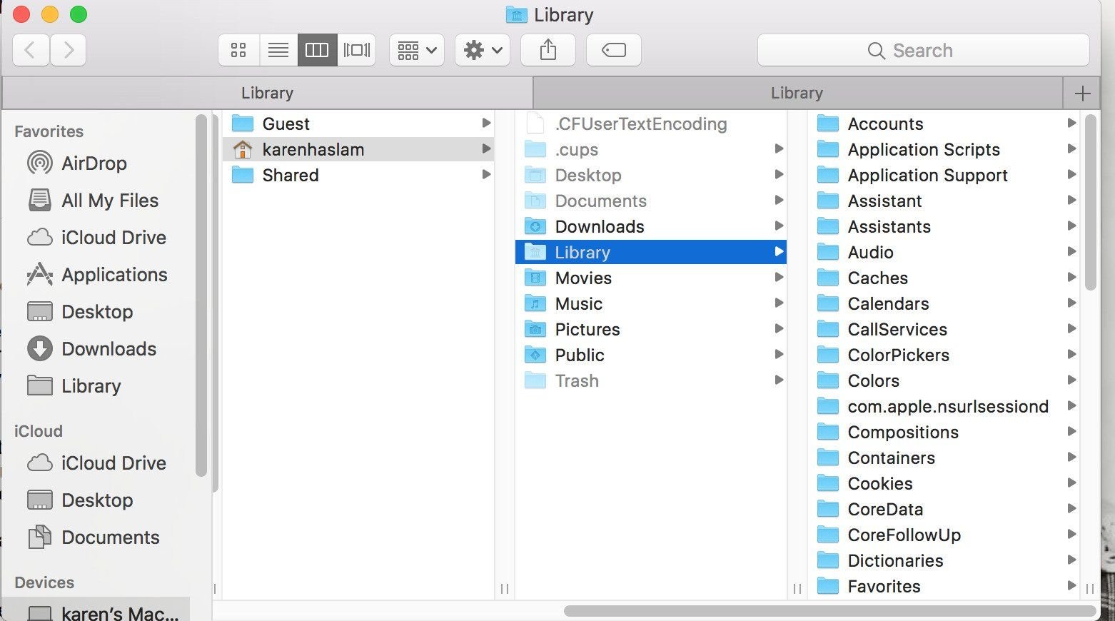 look for a file in mac terminal
